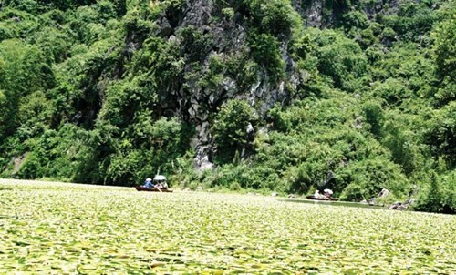 Les voyageurs rament la barque au lac du lotus Quan Son